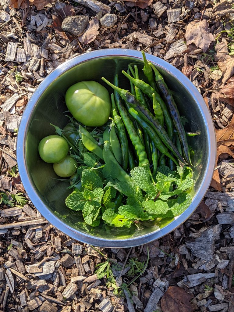 Green chillies, mint, peas, and tomatoes in a bowl.