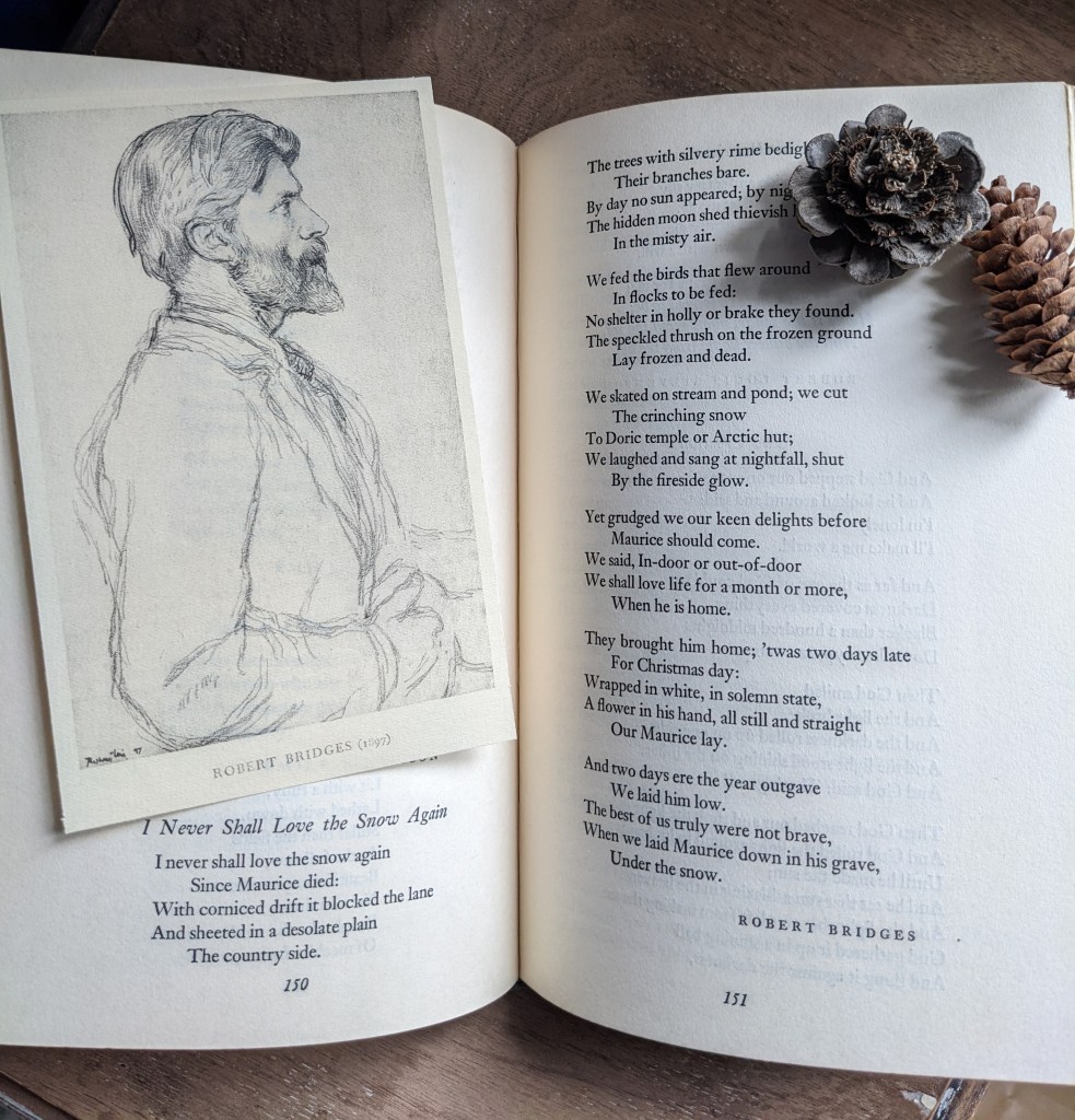 Image of Robert Bridges portrait on top of book page with his poem I Never Shall Love the Snow Again with pine cones in the corner