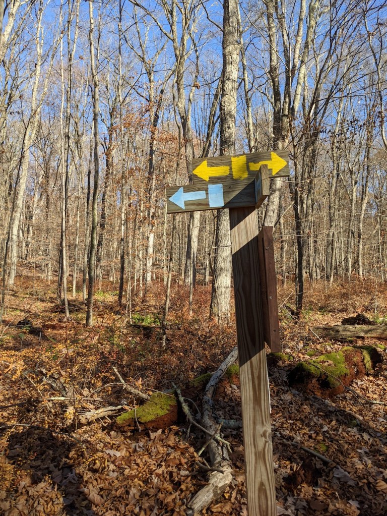Picture of trail markers showing yellow and blue arrows painted on a wood post with many trees in the background and leaves on the ground. 